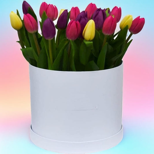 Tulipanes Brillantes