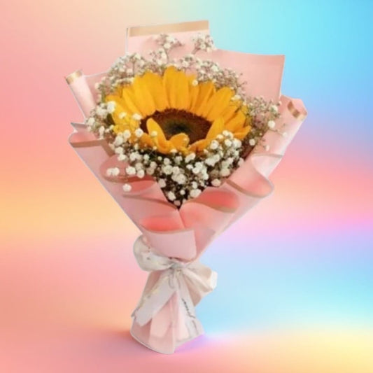 Brillo de la Alegría